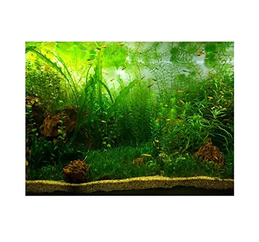 Acquario Serbatoio di Pesce Sfondo Poster PVC Adesivo Decor Poster Carro Armato Pesci Acqu...