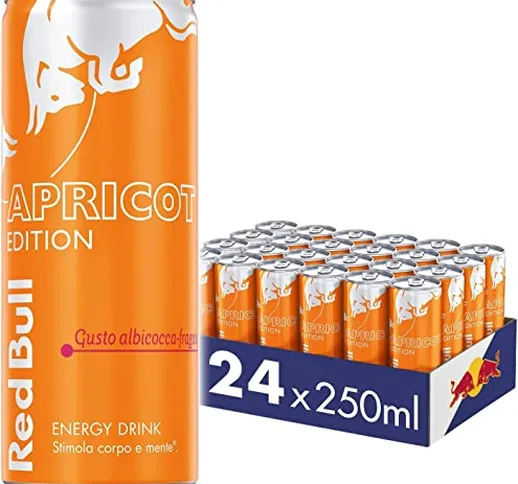 Red Bull Energy Drink, Gusto Apricot, 250 ml (24 Lattine)