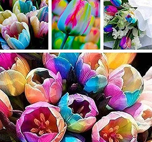 ZHOUBA - Semi di tulipano per piante da giardinaggio, 100 pezzi rari tulipani bulbi profum...