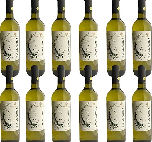 Falanghina del Beneventano IGP | Torre dei Chiusi | 12 Bottiglie da 75Cl | Vino Bianco del...