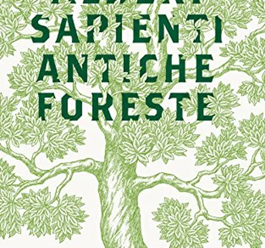 Alberi sapienti antiche foreste. Come guardare, ascoltare e avere cura del bosco. Con eboo...