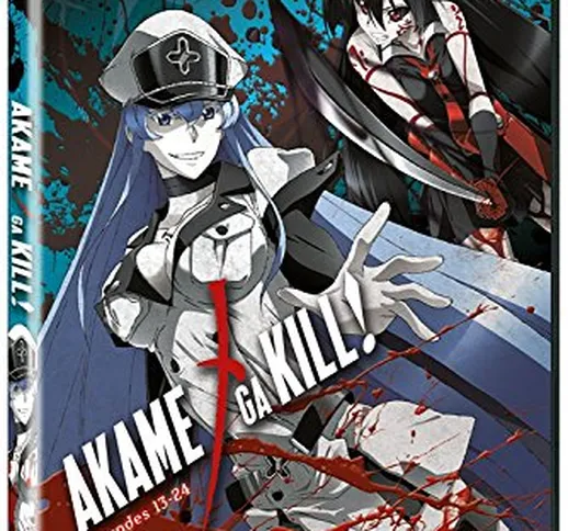 Akame Ga Kill Collection 2 (Episodes 13-24) [Edizione: Regno Unito] [Edizione: Regno Unito...