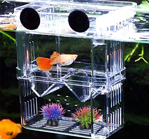 NETUEM - Contenitore per allevamento pesci per acquario, nursery in acrilico isolante a do...