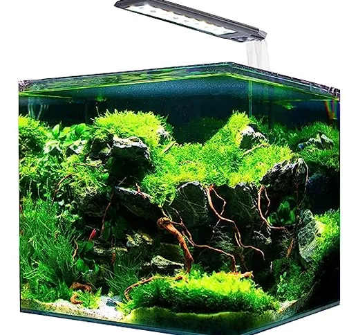 AMTRA NANOTANK SYSTEM 60 - Acquario in vetro completo di luce LED e filtro / cm 38x38x43 /...