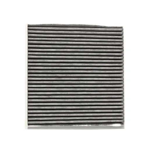 MANN-FILTER Filtro Antipolline RENAULT,SMART FP 22 021 4538350300,A4538350300,272774711R F...