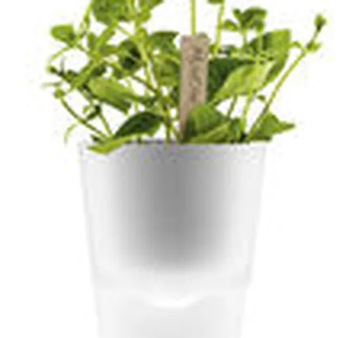 vaso con riserva - con riserva d'acqua - Ø 11 cm - Vetro di  - Trasparente - Vetro