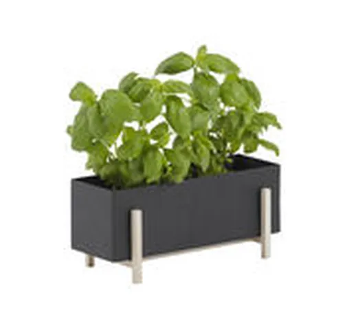 Vaso per fiori Botanic Box - / 30 x 12 cm x H 13 cm di  - Nero - Metallo