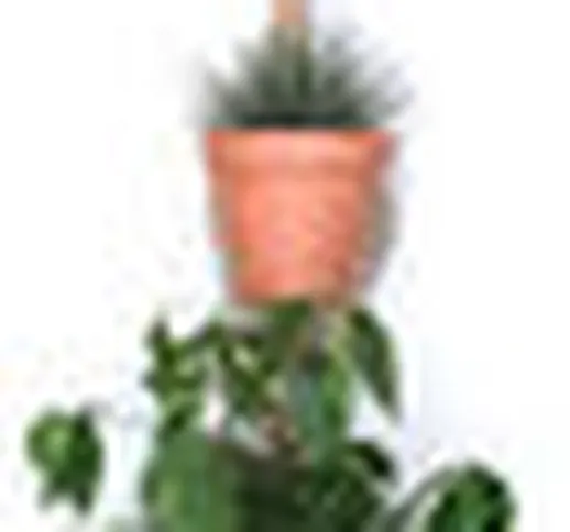 Supporto a parete XPOT / Per 4 vasi da fiori o mensole - H 200 cm -  - Legno naturale - Le...
