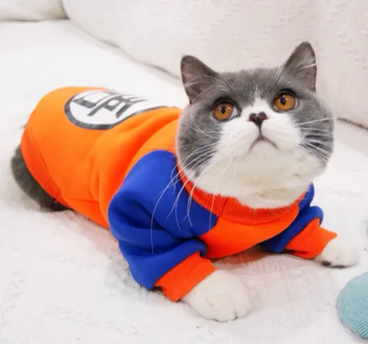 Moda Pet Cat Costume Summer Cat Vest Felpa con cappuccio Accoglienti Mascoat Gotos Vestiti...
