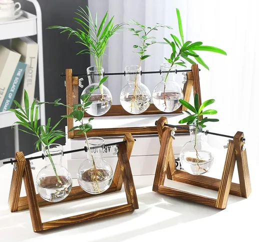 Vaso idroponico con cornice in legno creativo, contenitore in vetro ravanello verde, deskt...