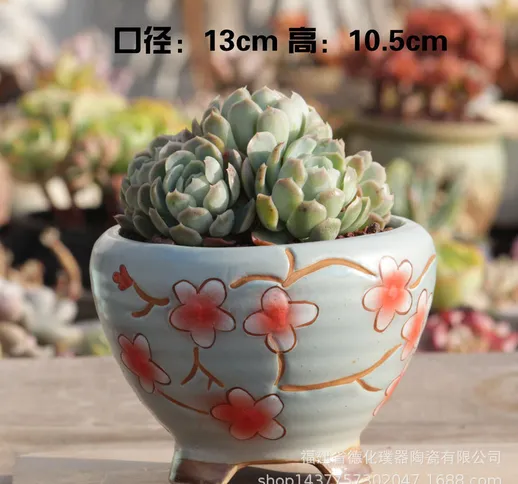 Nuovo vaso da fiori per piante carnose di grande calibro dipinto a mano in ceramica grezza...