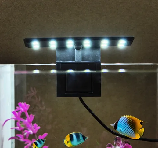 Illuminazione per fotografia AC220V 6W 12 LED Luce per acquario Lampada per barattoli di p...