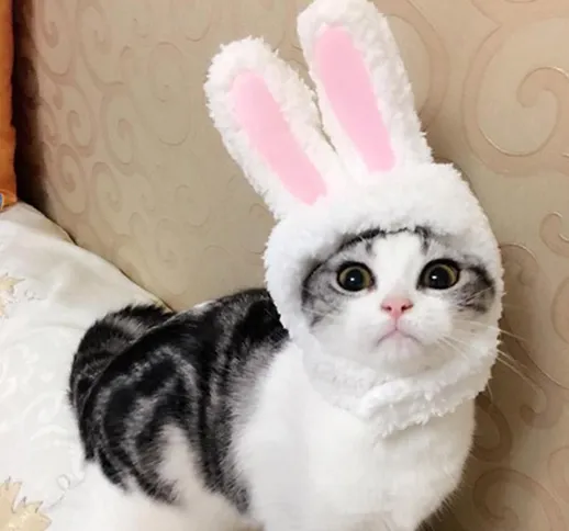 Simpatico costume da compagnia Cosplay Orecchie da coniglio Cappello da berretto per gatto...