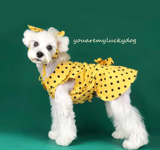 Vestiti per cani estate sottile piccolo cane carino principessa vestito Teddy Schnauzer Co...