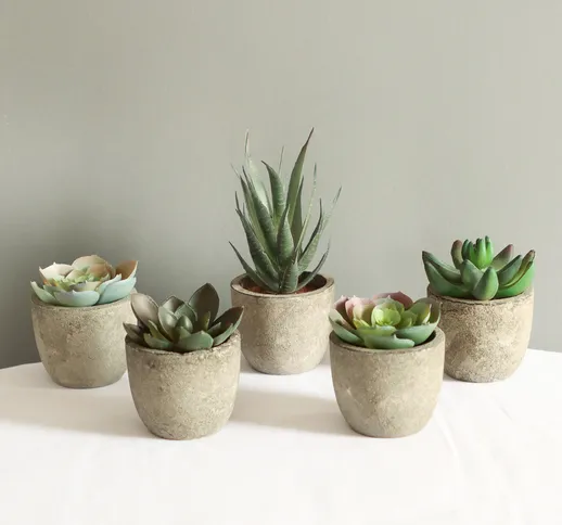 Confezione da 5 piante grasse finte in vaso Set di piante artificiali di simulazione per l...