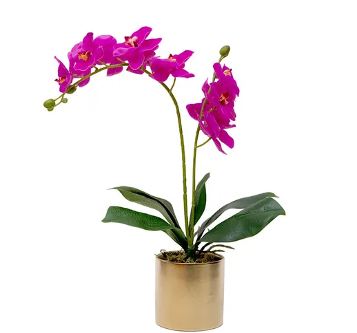 Mr. Quasi simulazione di sensazione idratante di alta qualità Phalaenopsis pianta in vaso...