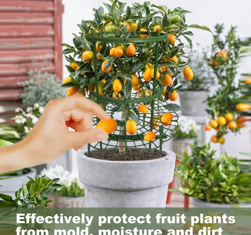 Pianta frutta e verdura anello di supporto plastica per piante di pomodoro gabbia mensola...