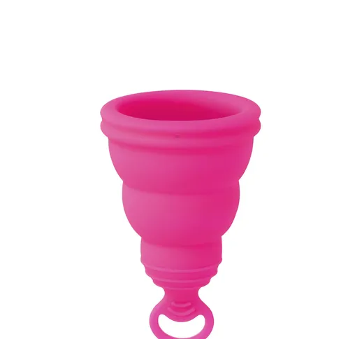 Lily Cup One