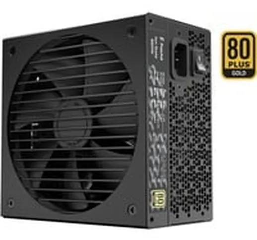 Ion Gold 850W alimentatore per computer 24-pin ATX ATX Nero