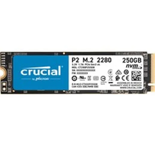 P2 M.2 250 GB PCI Express 3.0 NVMe, Disco a stato solido