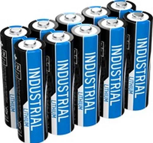 1502-0005 batteria per uso domestico Batteria monouso Stilo AA Litio