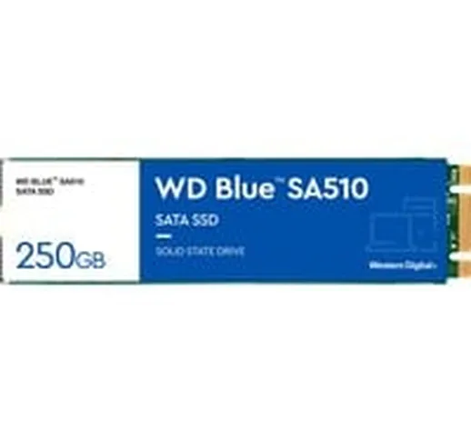 Blue SA510 M.2 250 GB Serial ATA III