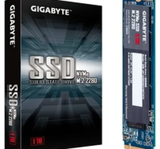 GP-GSM2NE3100TNTD drives allo stato solido M.2 1000 GB PCI Express 3.0 NVMe, Disco a stato...