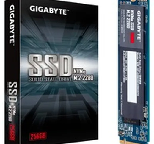 GP-GSM2NE3256GNTD drives allo stato solido M.2 256 GB PCI Express 3.0 NVMe, Disco a stato...