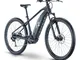 E-Bike Raymon HardRay E-Seven 5.0 (Colore: black-d.gray-silver, Taglia: M)