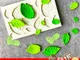 Tree Maple Leaf Mold Silicone Fondant Cake Decorating Tools Chocolate Baking Mould 3D Suga...