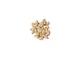 Chinese pine nut 100G