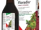 Floradix 250 Ml