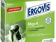 Ergovis Mg+k Senza Zucchero 20 Bustine 5 G