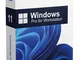 Microsoft Windows 11 Pro for Workstation