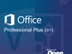 Microsoft Office 2013 Professional Plus Licenza OPEN Terminal Server, Licenza a volume