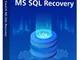  MS SQL Recovery (Lifetime Upgrades) 1 Anno