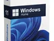 Microsoft Windows 11 Home