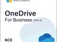 OneDrive for business (Plan 2) (NCE)