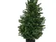 Albero bisalta verde cmø35h60 pvc con 99 rami