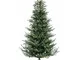 Albero Denali H150-2057Rami