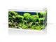 Acquario ambiente aqua 60 led bianco