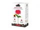 Cifo ASSO DI FIORI Concime NPK 20.20.20 polvere solubile 1 KG