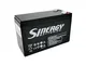 Sinergy Batteries - batteria sinergy agm 6V 12AH
