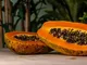 Le Georgiche - Carica papaya 'Intenzza'