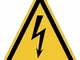 Cartelli di pericolo iso 7010 Corrente elettrica W012 Misura - 100mm x 100mm, Numero Pezzi...
