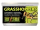 Exo-terra - Exoterra Grasshoppers 34gr - Cavallette in Scatola