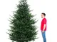 Giove - Albero di Natale effetto realistico in pe e pvc ø157x240H, 3423 rami