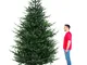 Giove - Albero di Natale effetto realistico in PE e PVC ø170x270H, 4487 rami