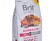 BRIT Animals Guinea Pig Complete - cibo secco per porcellini d'India - 300 g