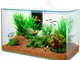 Kit acquario Aqua clear 50